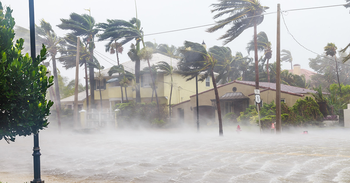 Hurricane Preparedness Guide